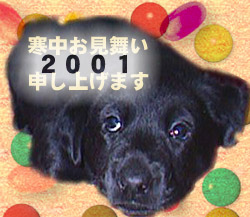 �Q�O�O�P�N����������
